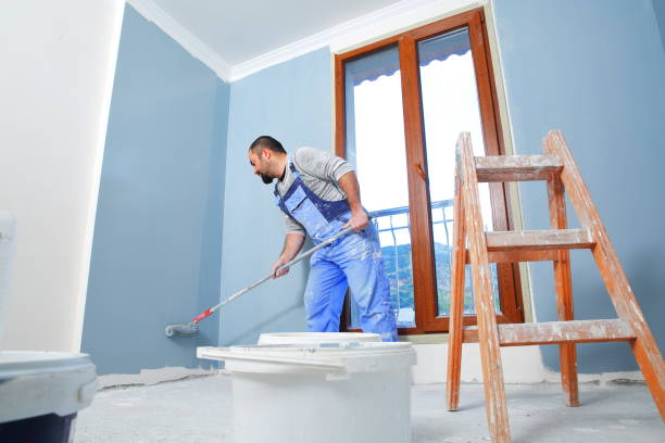 Best Black Mold Removal  in Holiday Island, AR