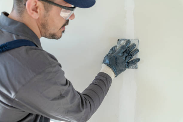  Holiday Island, AR Mold Removal Pros