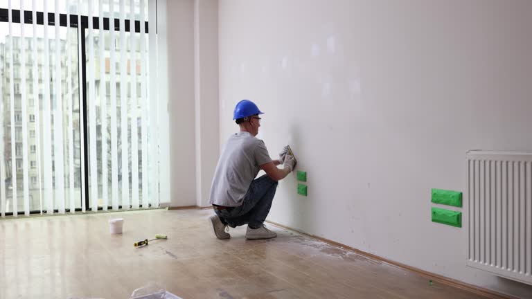 Best Mold Documentation for Insurance Claims  in Holiday Island, AR