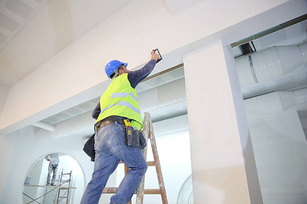 Professional Mold Removal in Holiday Island, AR