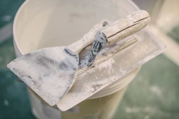 Best Water Damage & Mold Remediation  in Holiday Island, AR