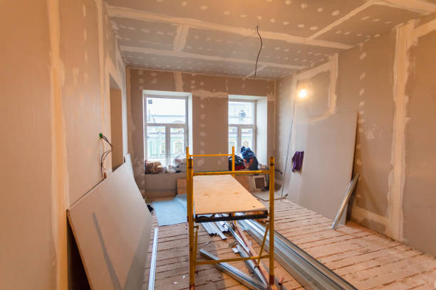 Best Industrial Mold Remediation  in Holiday Island, AR