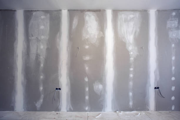 Best Mold Damage Restoration  in Holiday Island, AR